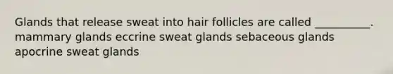 Glands that release sweat into hair follicles are called __________. mammary glands eccrine sweat glands sebaceous glands apocrine sweat glands