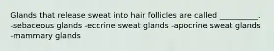 Glands that release sweat into hair follicles are called __________. -sebaceous glands -eccrine sweat glands -apocrine sweat glands -mammary glands