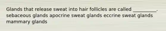 Glands that release sweat into hair follicles are called __________. sebaceous glands apocrine sweat glands eccrine sweat glands mammary glands