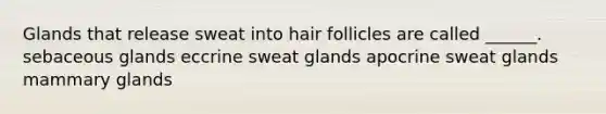 Glands that release sweat into hair follicles are called ______. sebaceous glands eccrine sweat glands apocrine sweat glands mammary glands