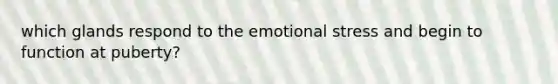 which glands respond to the emotional stress and begin to function at puberty?