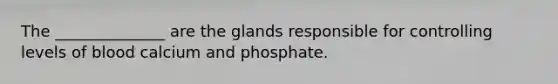 The ______________ are the glands responsible for controlling levels of blood calcium and phosphate.