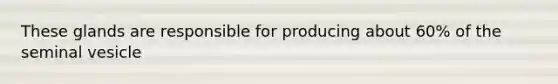 These glands are responsible for producing about 60% of the seminal vesicle