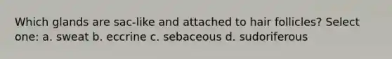 Which glands are sac-like and attached to hair follicles? Select one: a. sweat b. eccrine c. sebaceous d. sudoriferous