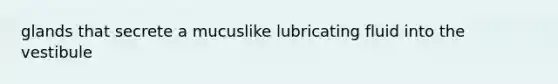 glands that secrete a mucuslike lubricating fluid into the vestibule