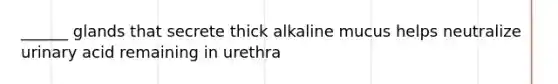 ______ glands that secrete thick alkaline mucus helps neutralize urinary acid remaining in urethra