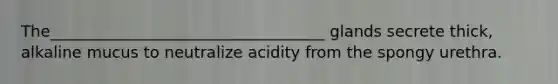 The___________________________________ glands secrete thick, alkaline mucus to neutralize acidity from the spongy urethra.