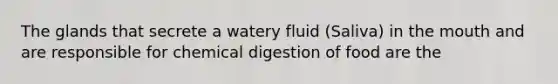 The glands that secrete a watery fluid (Saliva) in the mouth and are responsible for chemical digestion of food are the