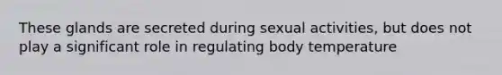 These glands are secreted during sexual activities, but does not play a significant role in regulating body temperature