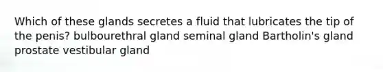 Which of these glands secretes a fluid that lubricates the tip of the penis? bulbourethral gland seminal gland Bartholin's gland prostate vestibular gland