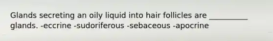 Glands secreting an oily liquid into hair follicles are __________ glands. -eccrine -sudoriferous -sebaceous -apocrine