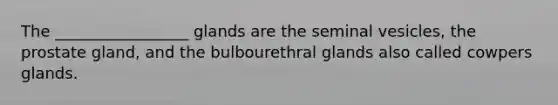 The _________________ glands are the seminal vesicles, the prostate gland, and the bulbourethral glands also called cowpers glands.