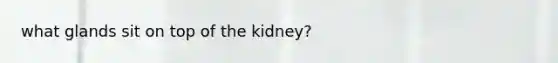 what glands sit on top of the kidney?