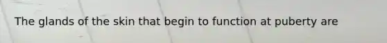 The glands of the skin that begin to function at puberty are