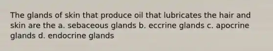 The glands of skin that produce oil that lubricates the hair and skin are the a. sebaceous glands b. eccrine glands c. apocrine glands d. endocrine glands