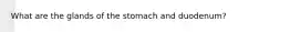What are the glands of the stomach and duodenum?