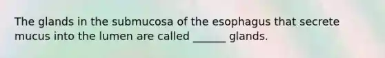 The glands in the submucosa of the esophagus that secrete mucus into the lumen are called ______ glands.