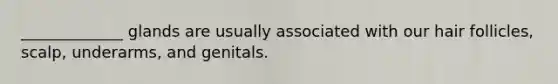_____________ glands are usually associated with our hair follicles, scalp, underarms, and genitals.