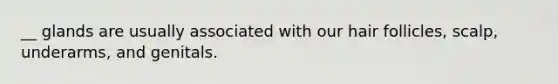 __ glands are usually associated with our hair follicles, scalp, underarms, and genitals.