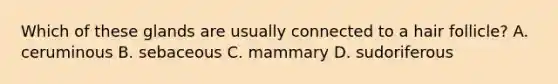 Which of these glands are usually connected to a hair follicle? A. ceruminous B. sebaceous C. mammary D. sudoriferous