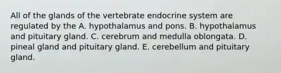 All of the glands of the vertebrate endocrine system are regulated by the A. hypothalamus and pons. B. hypothalamus and pituitary gland. C. cerebrum and medulla oblongata. D. pineal gland and pituitary gland. E. cerebellum and pituitary gland.