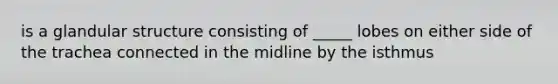 is a glandular structure consisting of _____ lobes on either side of the trachea connected in the midline by the isthmus