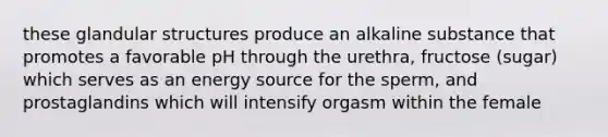 these glandular structures produce an alkaline substance that promotes a favorable pH through the urethra, fructose (sugar) which serves as an energy source for the sperm, and prostaglandins which will intensify orgasm within the female