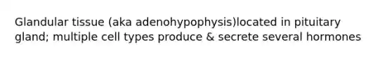 Glandular tissue (aka adenohypophysis)located in pituitary gland; multiple cell types produce & secrete several hormones