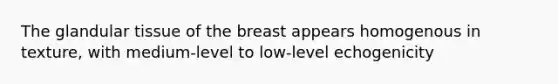 The glandular tissue of the breast appears homogenous in texture, with medium-level to low-level echogenicity