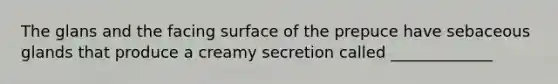 The glans and the facing surface of the prepuce have sebaceous glands that produce a creamy secretion called _____________