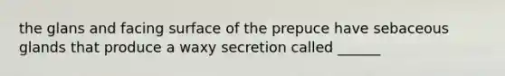 the glans and facing surface of the prepuce have sebaceous glands that produce a waxy secretion called ______