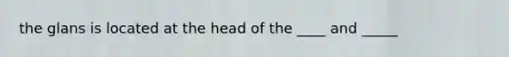 the glans is located at the head of the ____ and _____