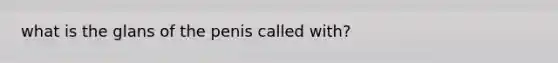 what is the glans of the penis called with?