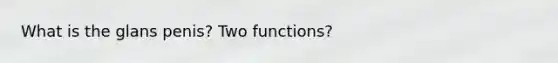 What is the glans penis? Two functions?