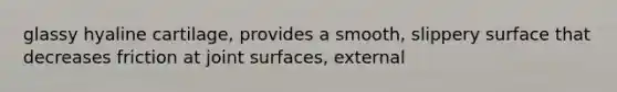 glassy hyaline cartilage, provides a smooth, slippery surface that decreases friction at joint surfaces, external