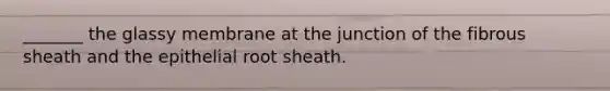 _______ the glassy membrane at the junction of the fibrous sheath and the epithelial root sheath.