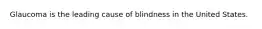 Glaucoma is the leading cause of blindness in the United States.