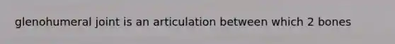 glenohumeral joint is an articulation between which 2 bones