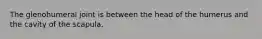 The glenohumeral joint is between the head of the humerus and the cavity of the scapula.
