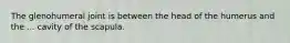 The glenohumeral joint is between the head of the humerus and the ... cavity of the scapula.