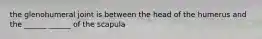 the glenohumeral joint is between the head of the humerus and the ______ ______ of the scapula