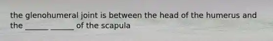 the glenohumeral joint is between the head of the humerus and the ______ ______ of the scapula