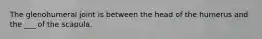 The glenohumeral joint is between the head of the humerus and the ___ of the scapula.