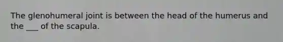 The glenohumeral joint is between the head of the humerus and the ___ of the scapula.