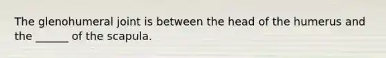 The glenohumeral joint is between the head of the humerus and the ______ of the scapula.