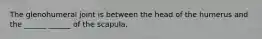 The glenohumeral joint is between the head of the humerus and the ______ ______ of the scapula.