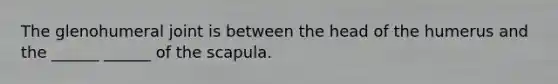 The glenohumeral joint is between the head of the humerus and the ______ ______ of the scapula.