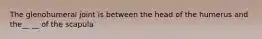 The glenohumeral joint is between the head of the humerus and the__ __ of the scapula