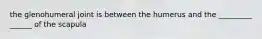 the glenohumeral joint is between the humerus and the _________ ______ of the scapula