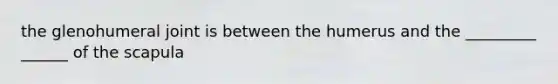 the glenohumeral joint is between the humerus and the _________ ______ of the scapula